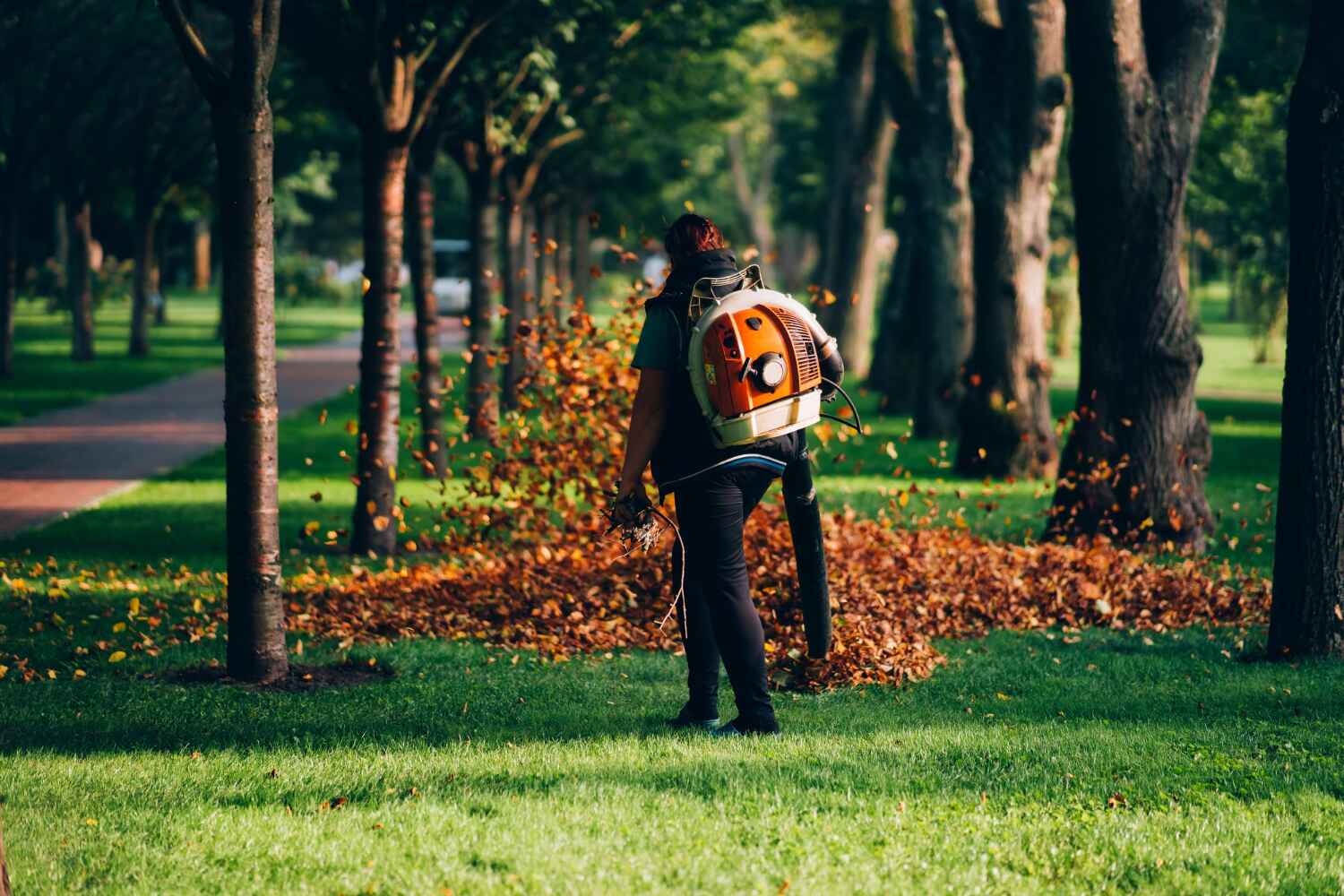 Best Tree Pruning Services  in Pine Lawn, MO